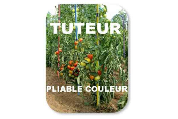 Tuteur de tomate pliable en couleur fibre de verre indestructible.